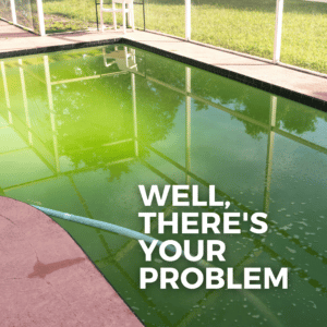 filthy green pool. overlaid text reads, "well, there's your problem"